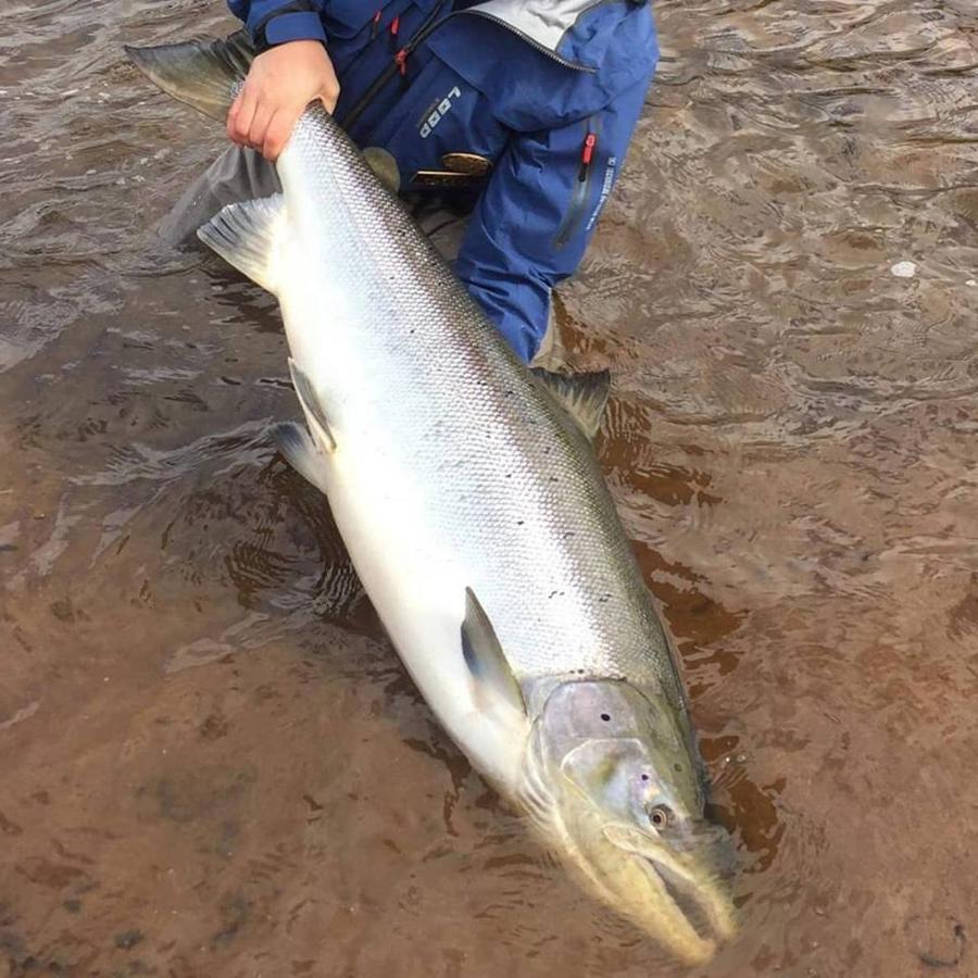 Jockfall Fishing And Activities - Oeverkalix Exterior foto